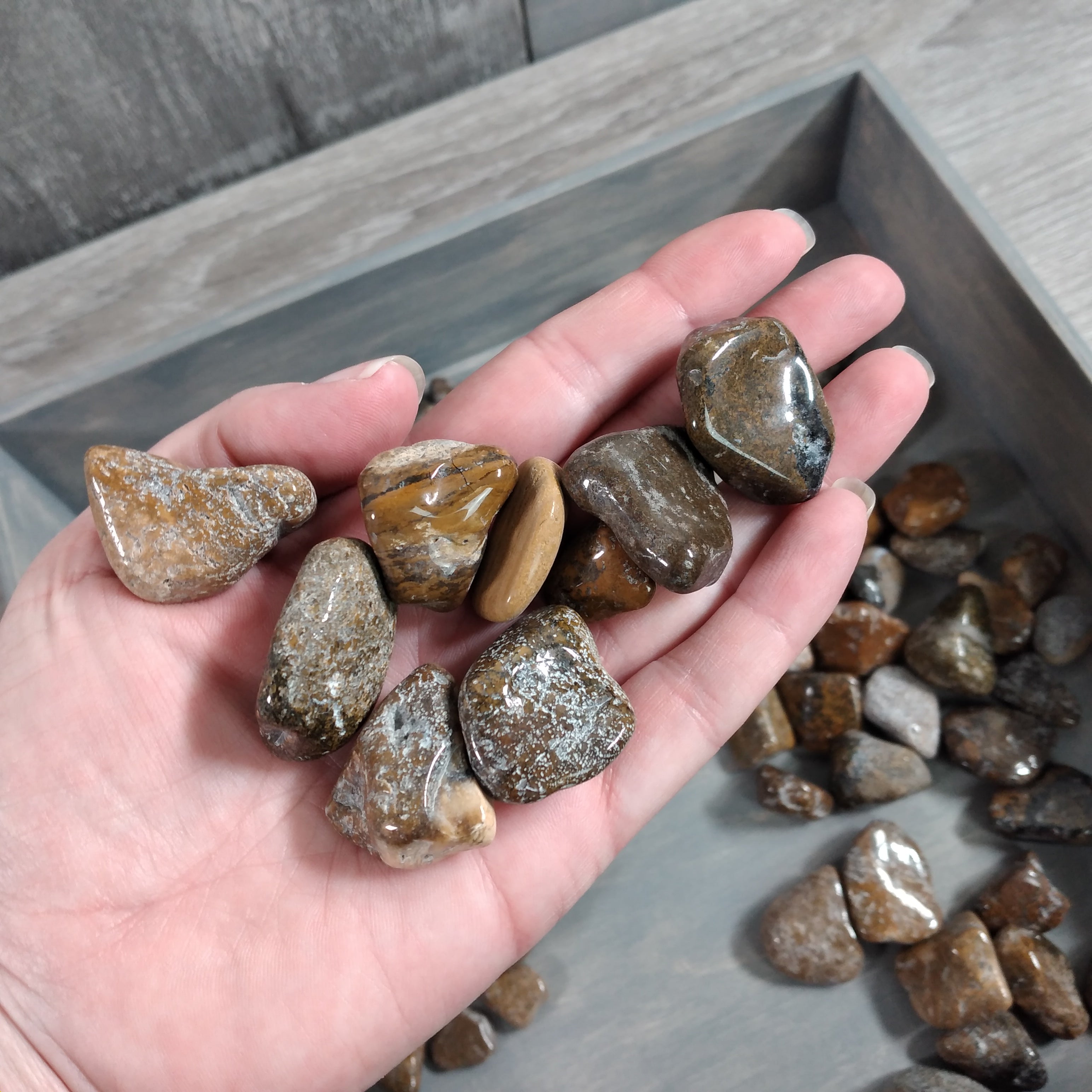 Tumbled Cosmic Jasper stones bulk 1 pound polished crystals wholesal