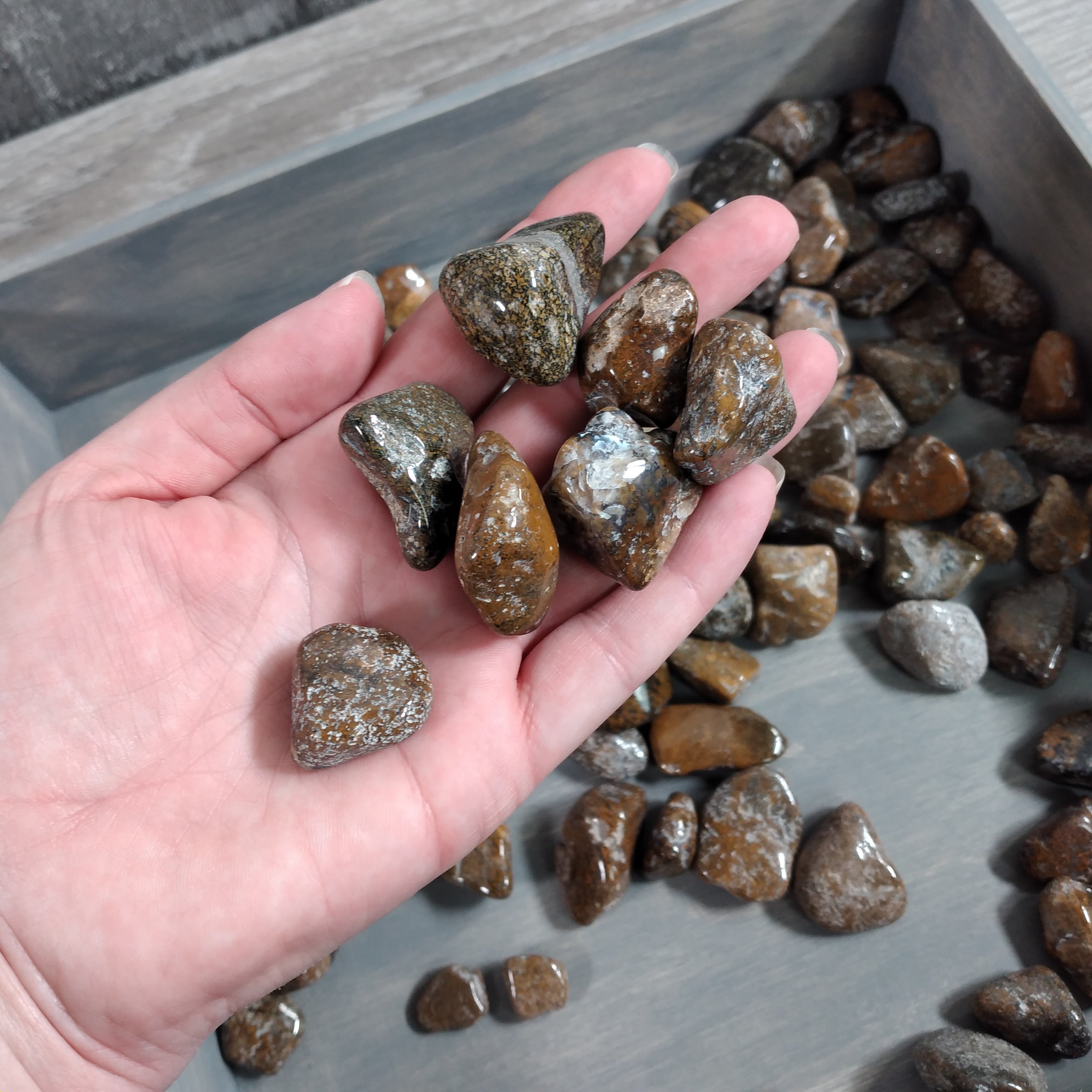 Polished Cosmic Jasper gemstones for metaphysical shop resale