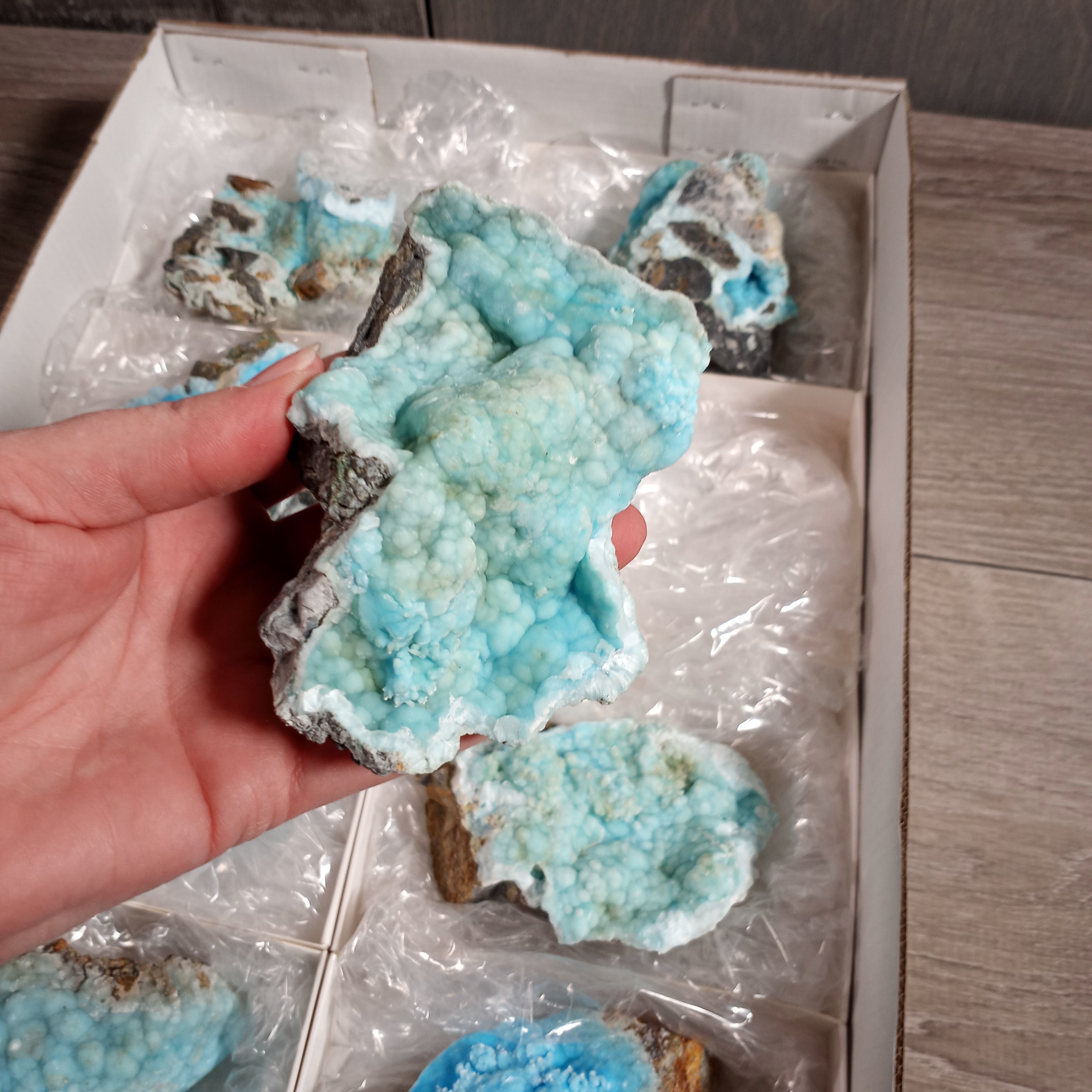 Flat of Blue Aragonite raw stones for retail and metaphysical shops
