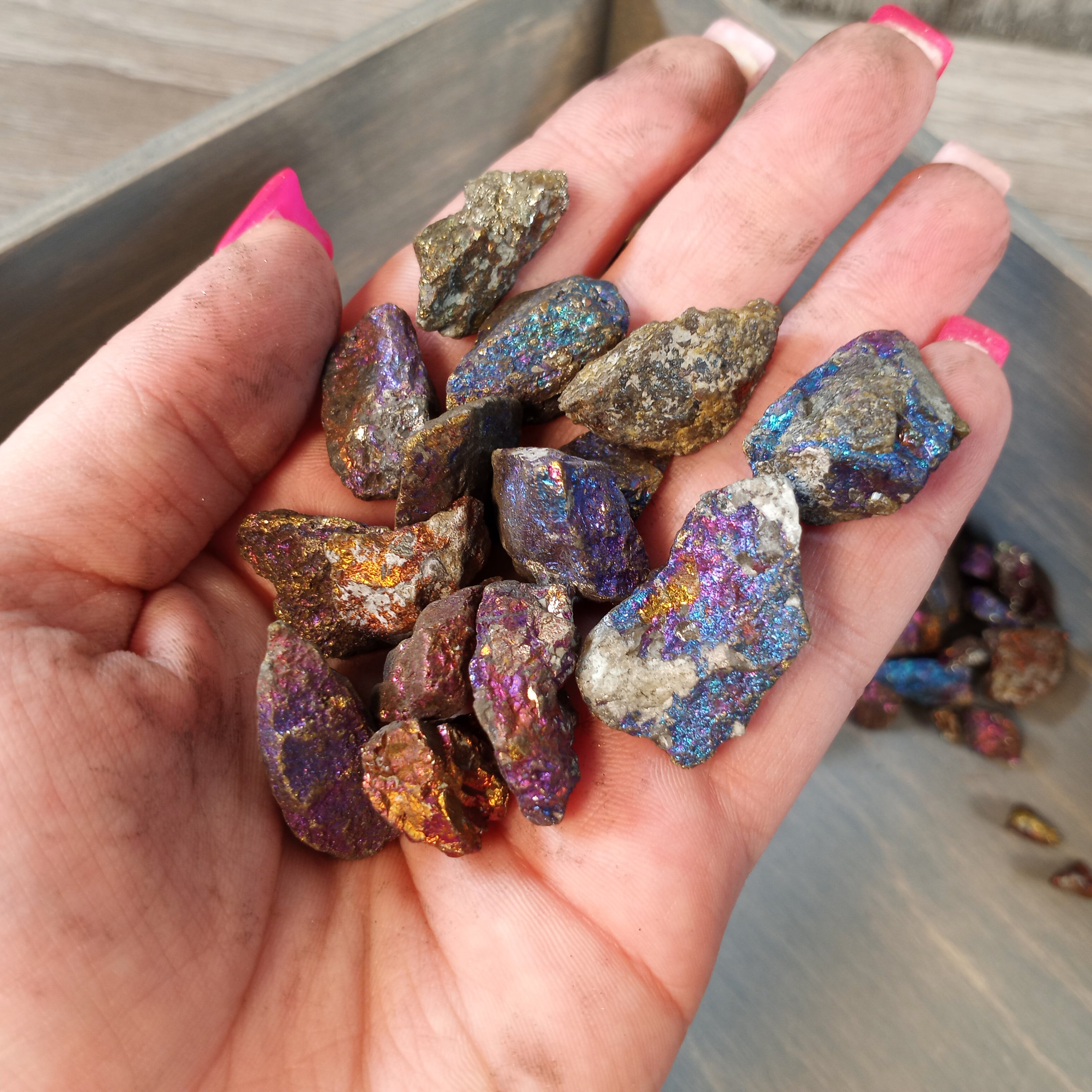 Peacock Ore Raw Rough Stones – 1 Pound Lot for Crystal Shops