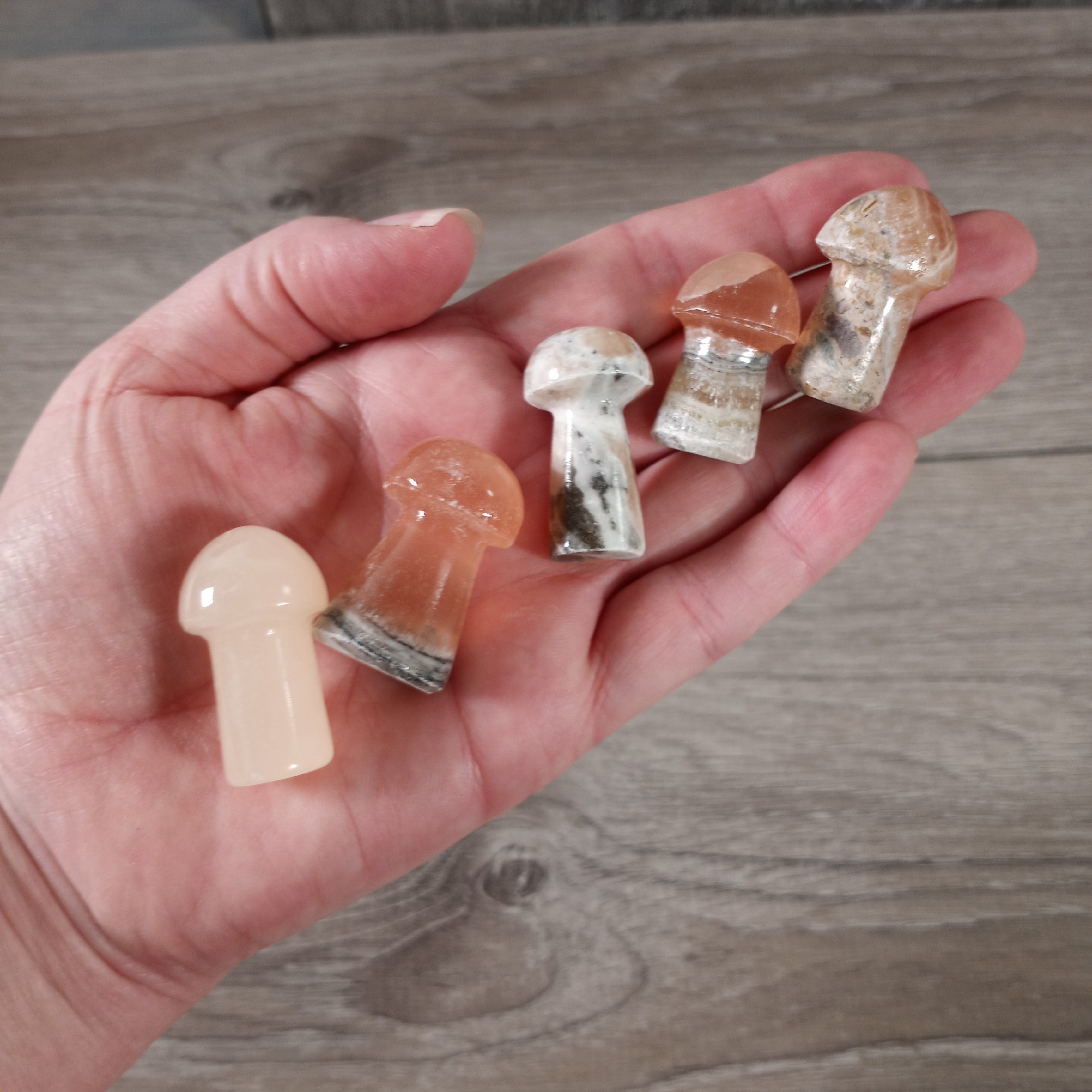 wholesale crystal mushrooms