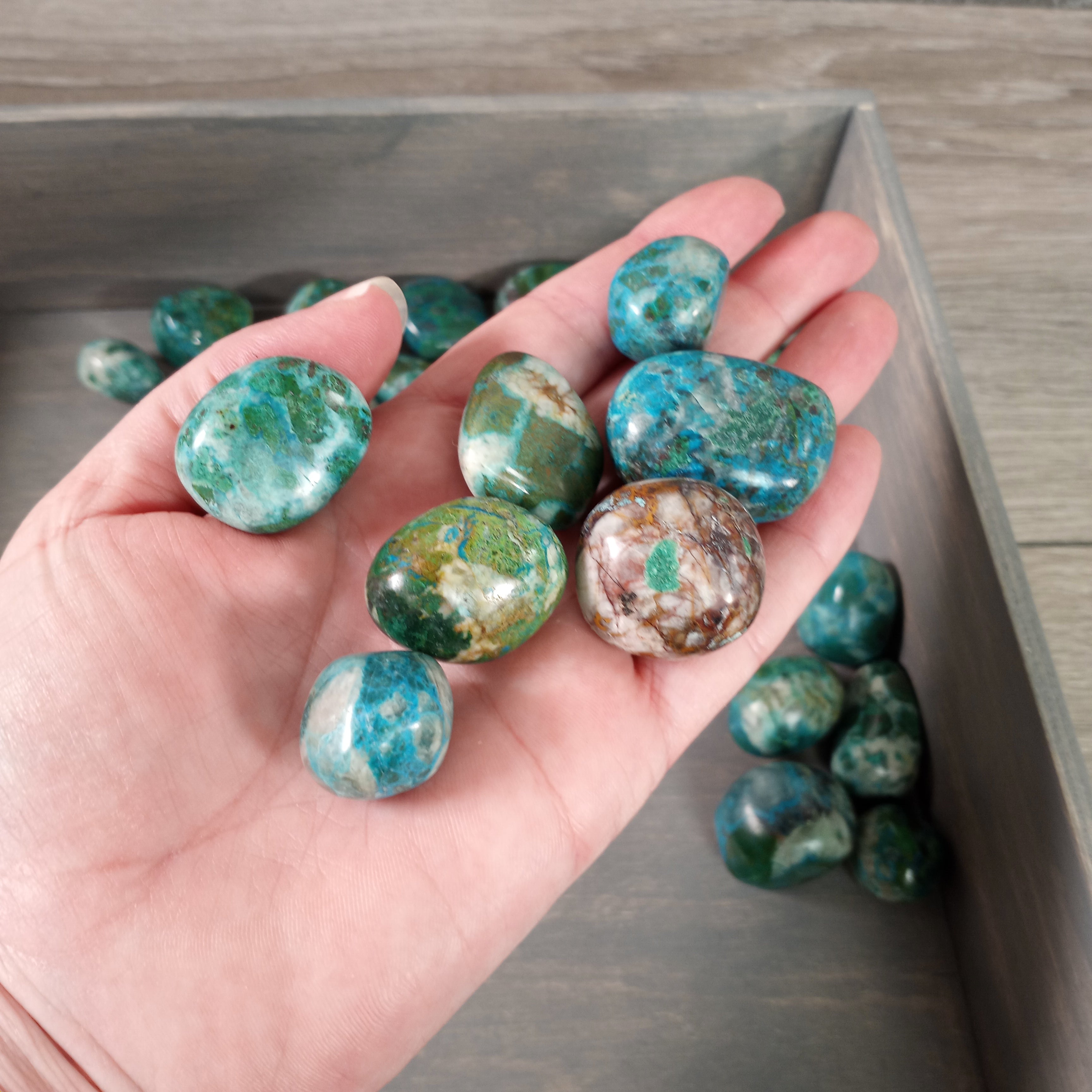 1 lb bulk chrysocolla tumbled stones wholesale