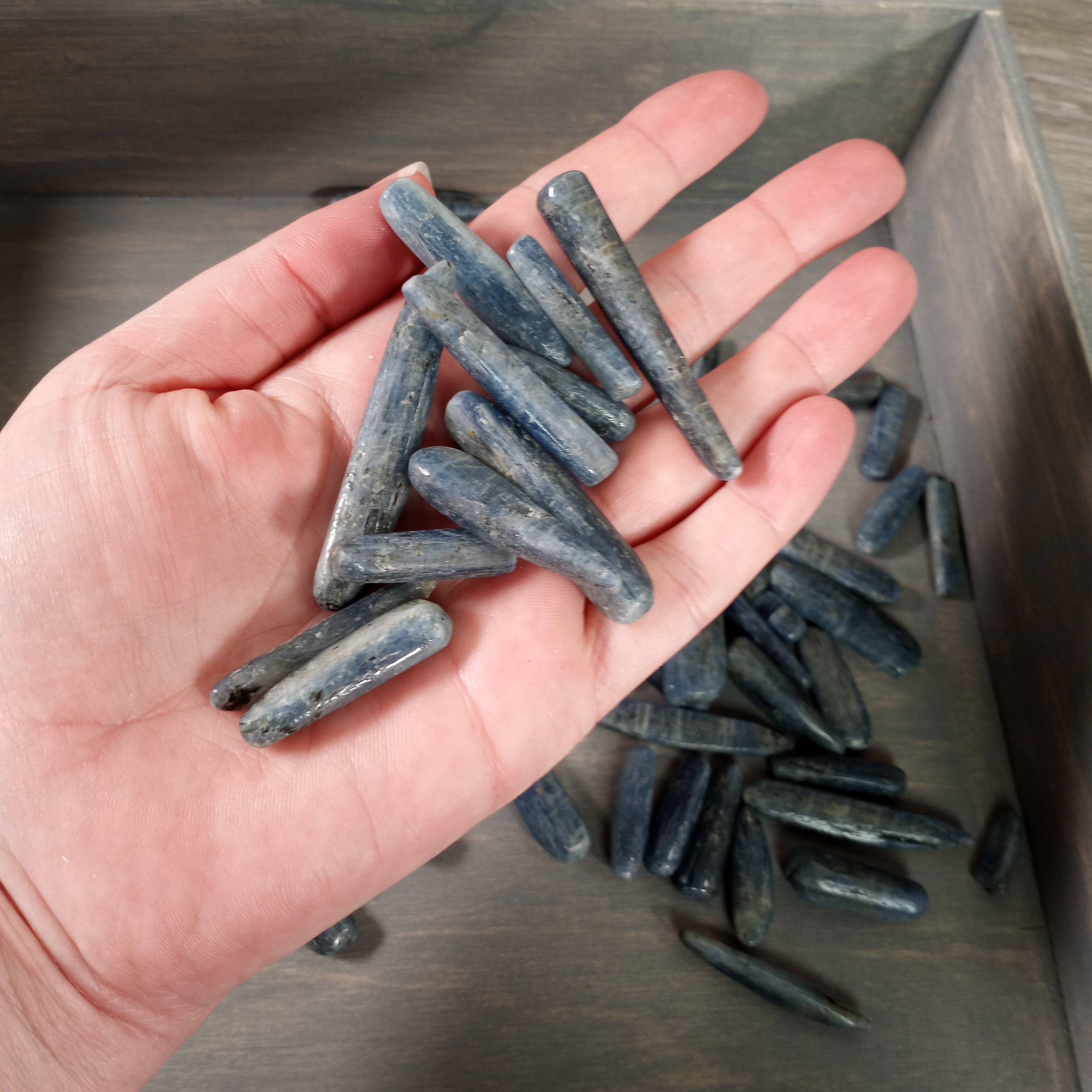 Blue Kyanite crystal blades for metaphysical shops