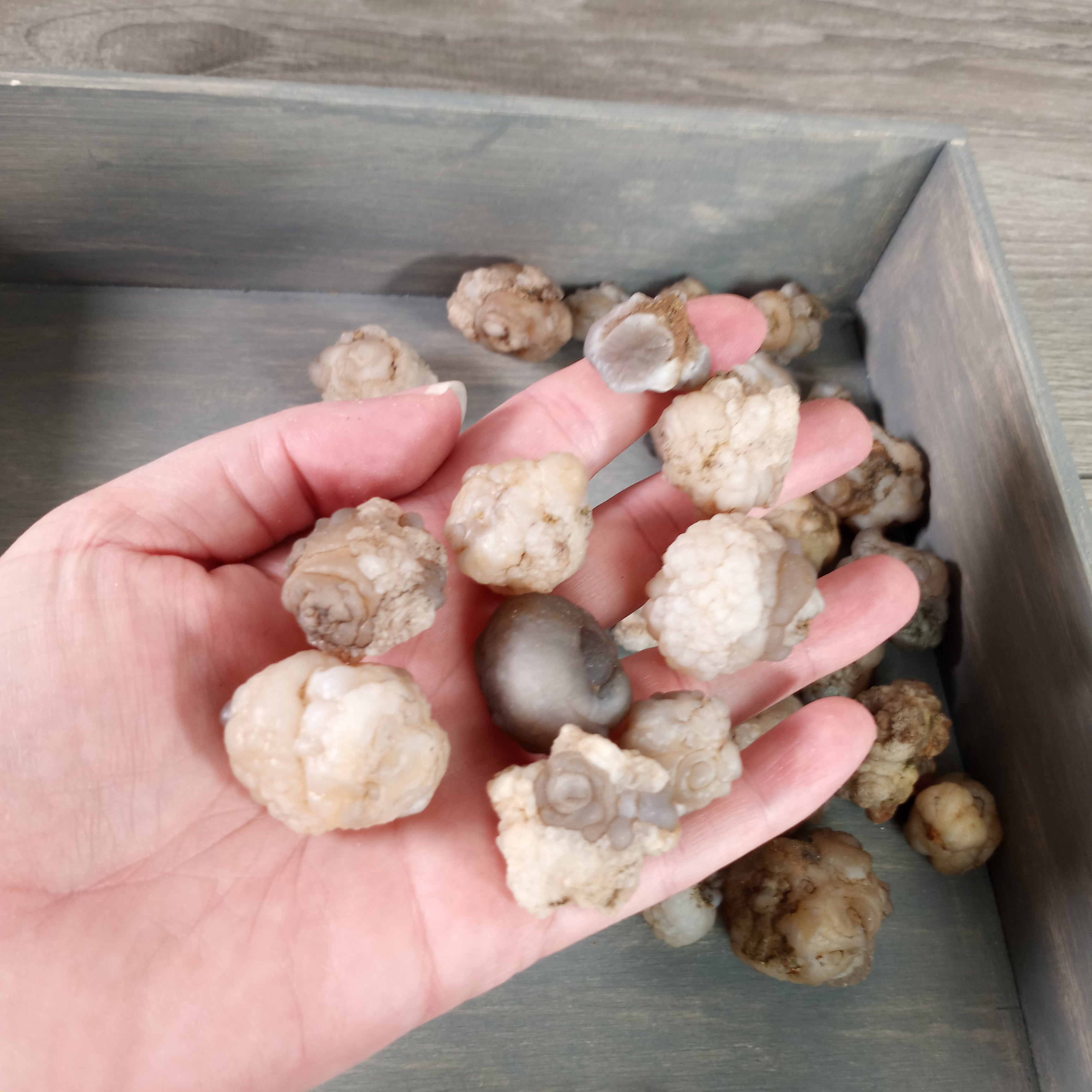 Bulk Gobi Agate natural stones for metaphysical and gift shops