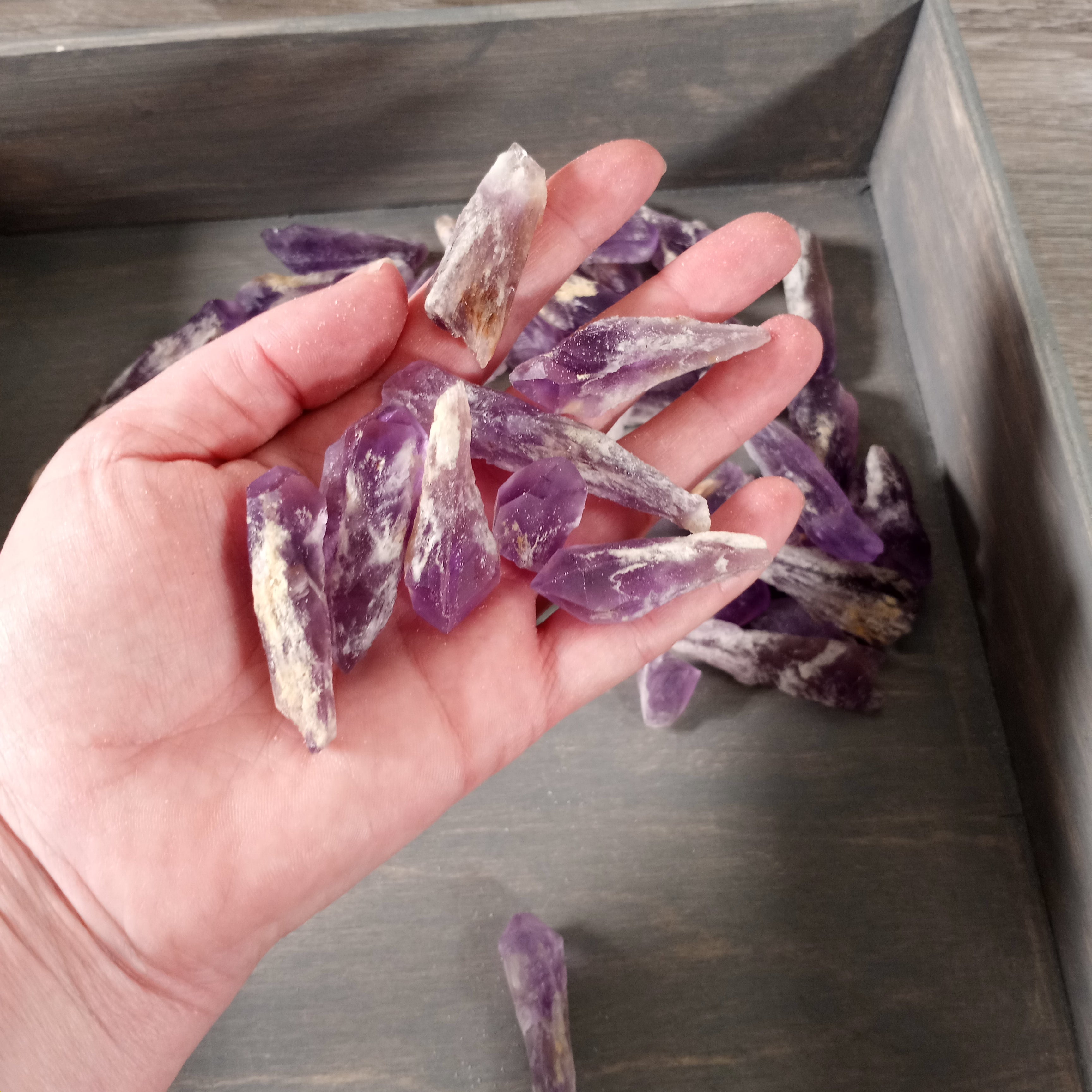 Raw Amethyst Dragon Tooth Points and Chunks – Bulk 1 Pound Wholesale
