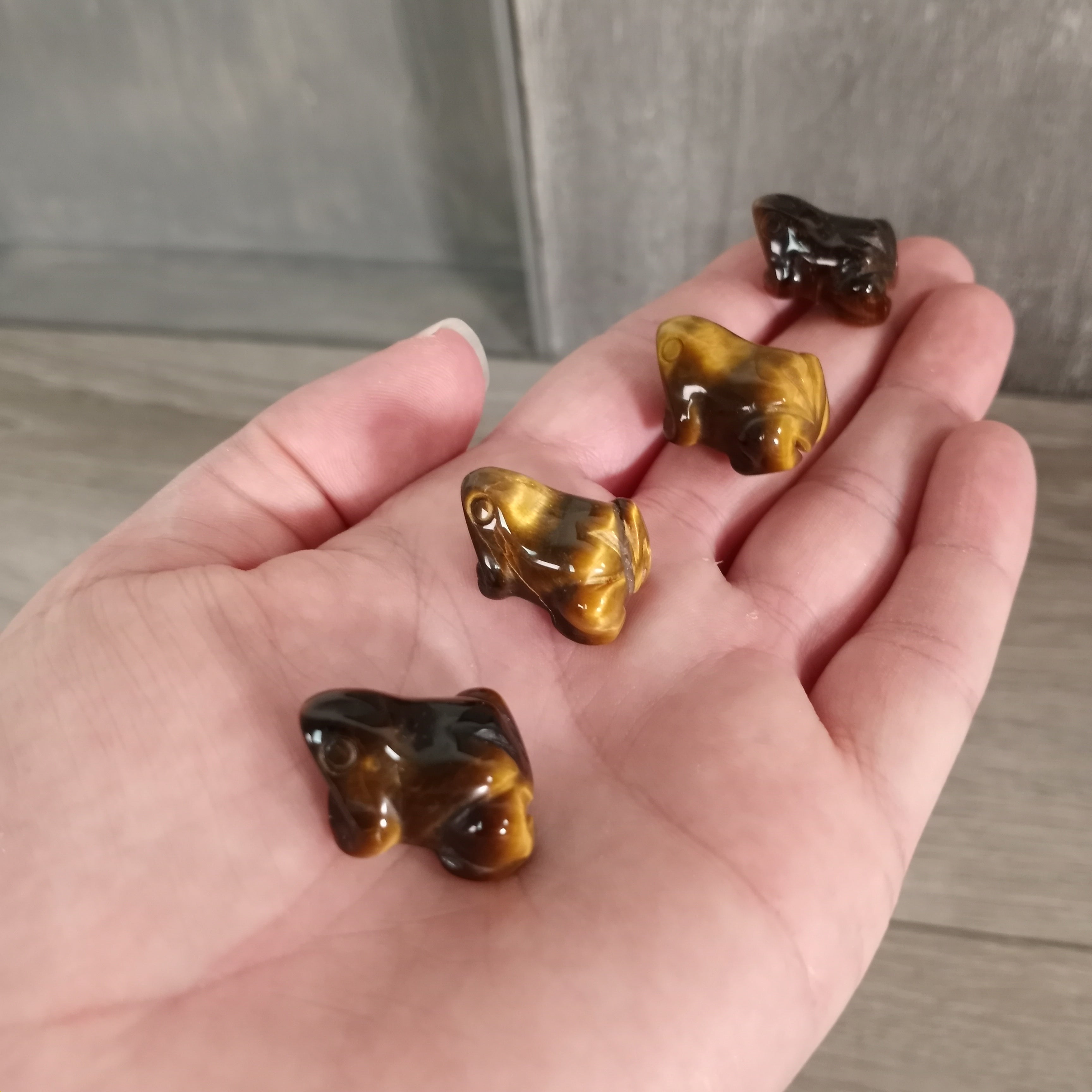 tiger eye bulk gemstone frog carvings for metaphysical store