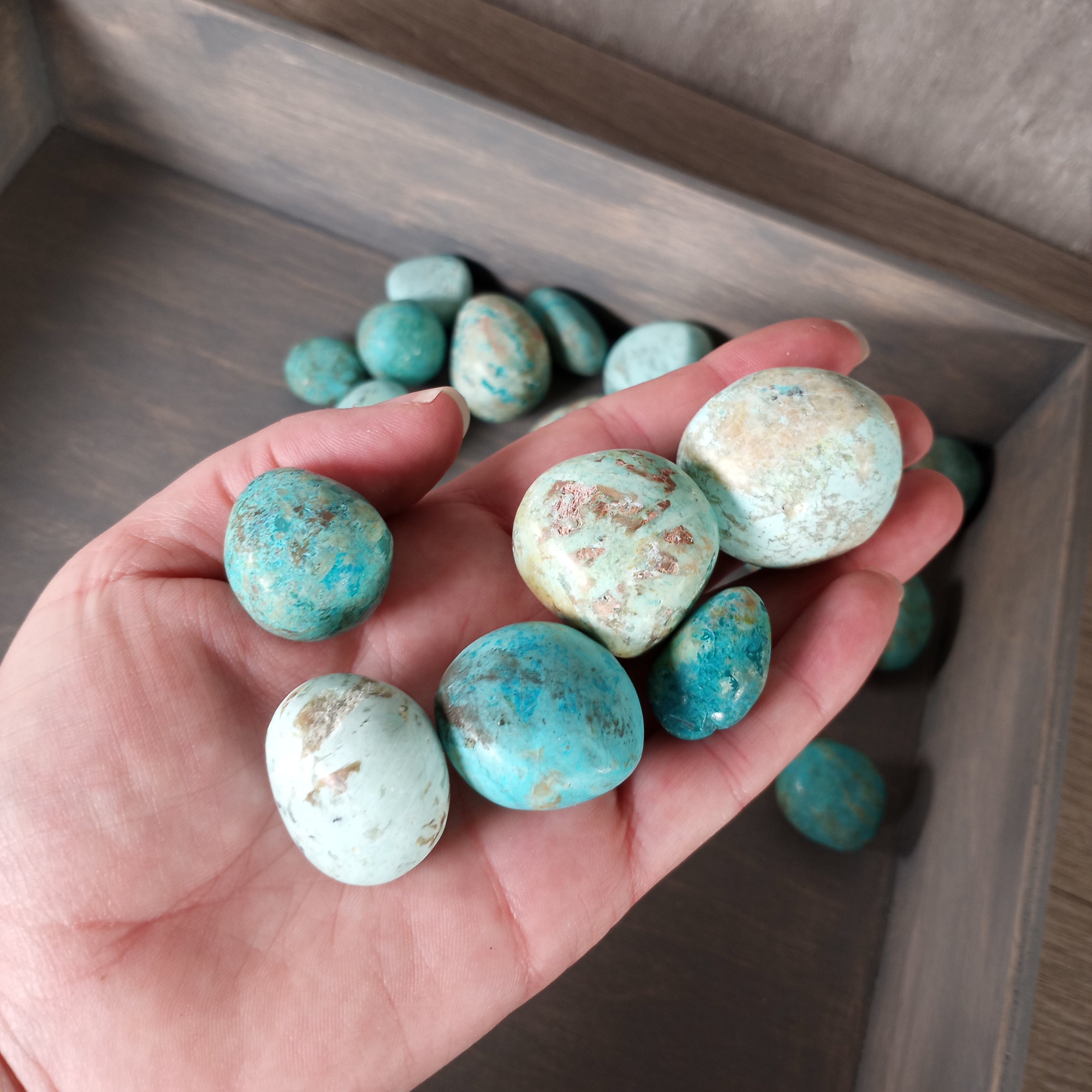 Bulk Chrysocolla Turquoise tumbled stones for crystal shops.