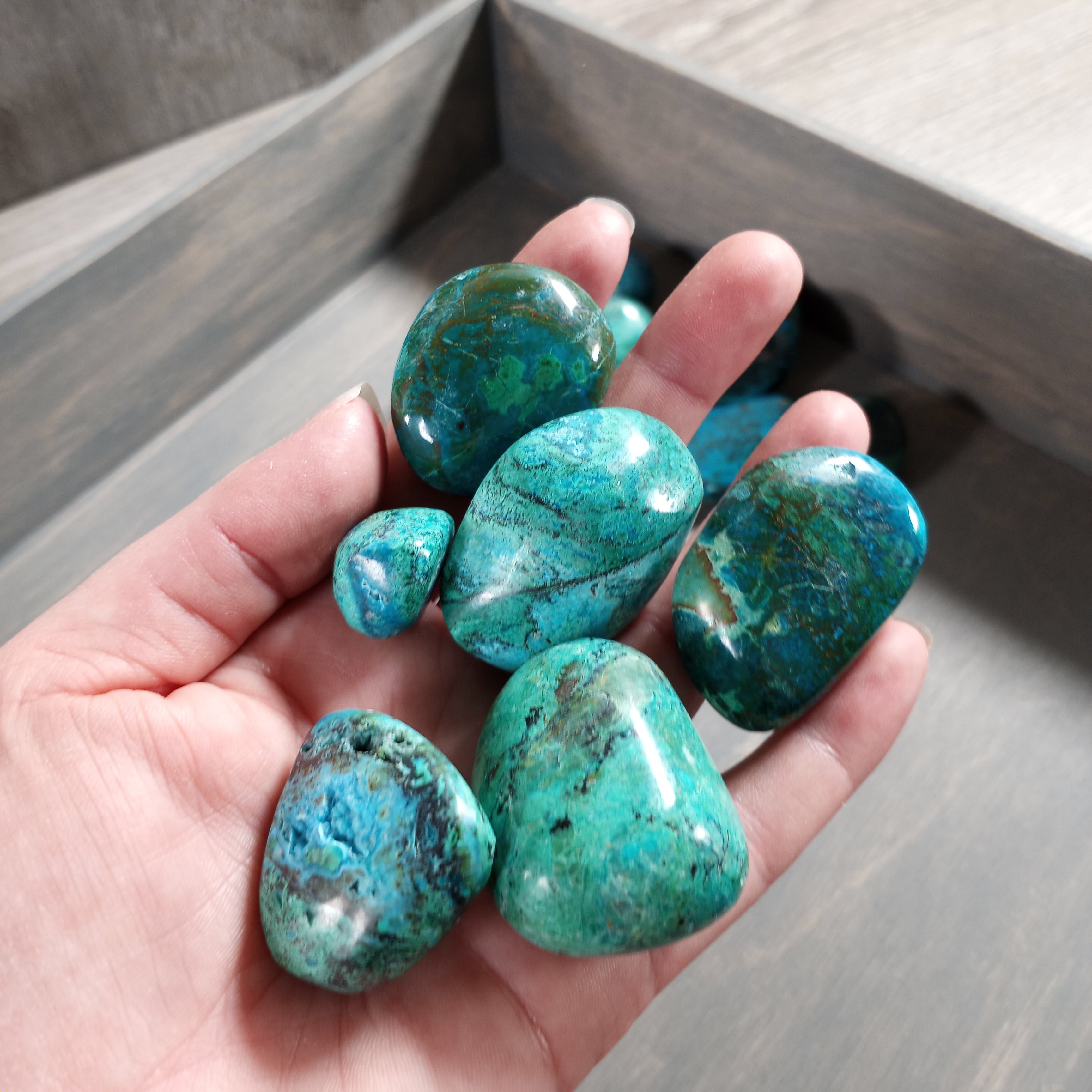 Tumbled Chrysocolla stones bulk lot for crystal shops