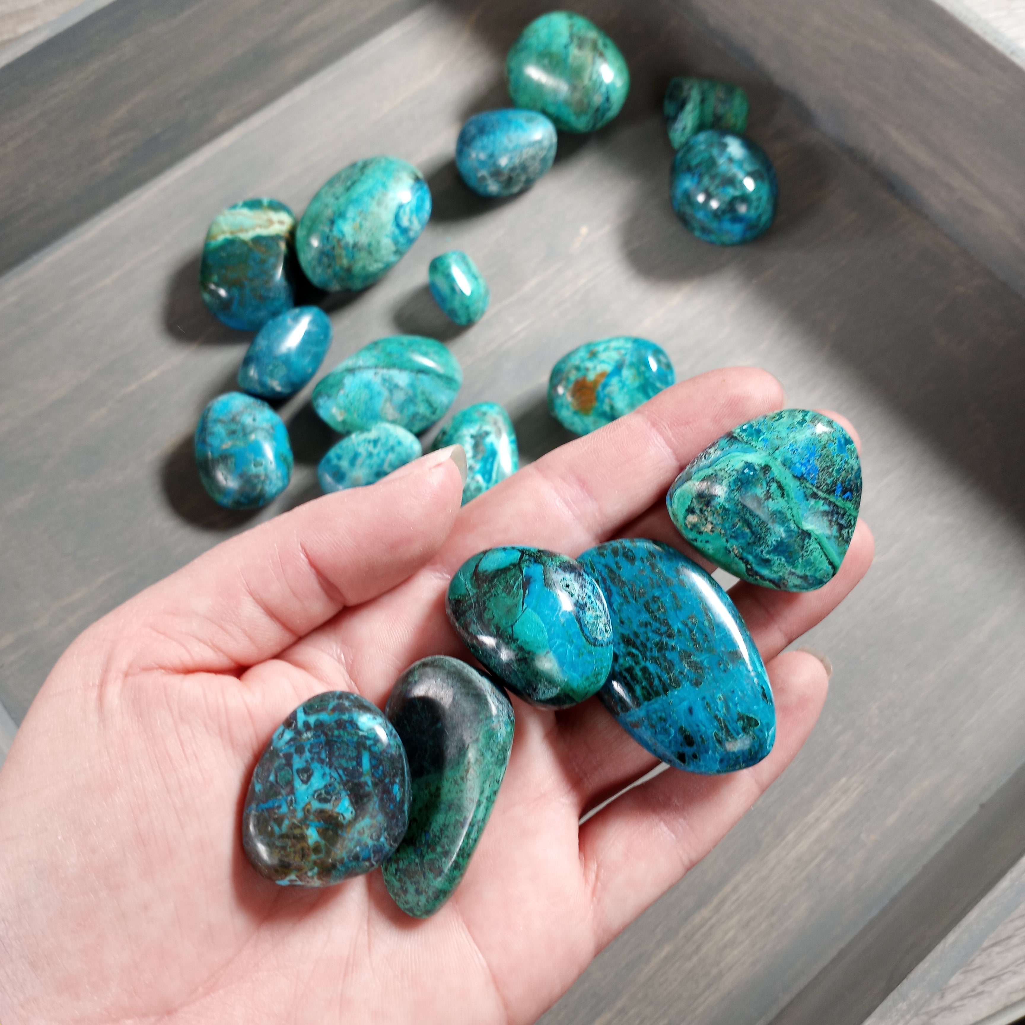 Natural Chrysocolla tumbled stones for metaphysical shops.