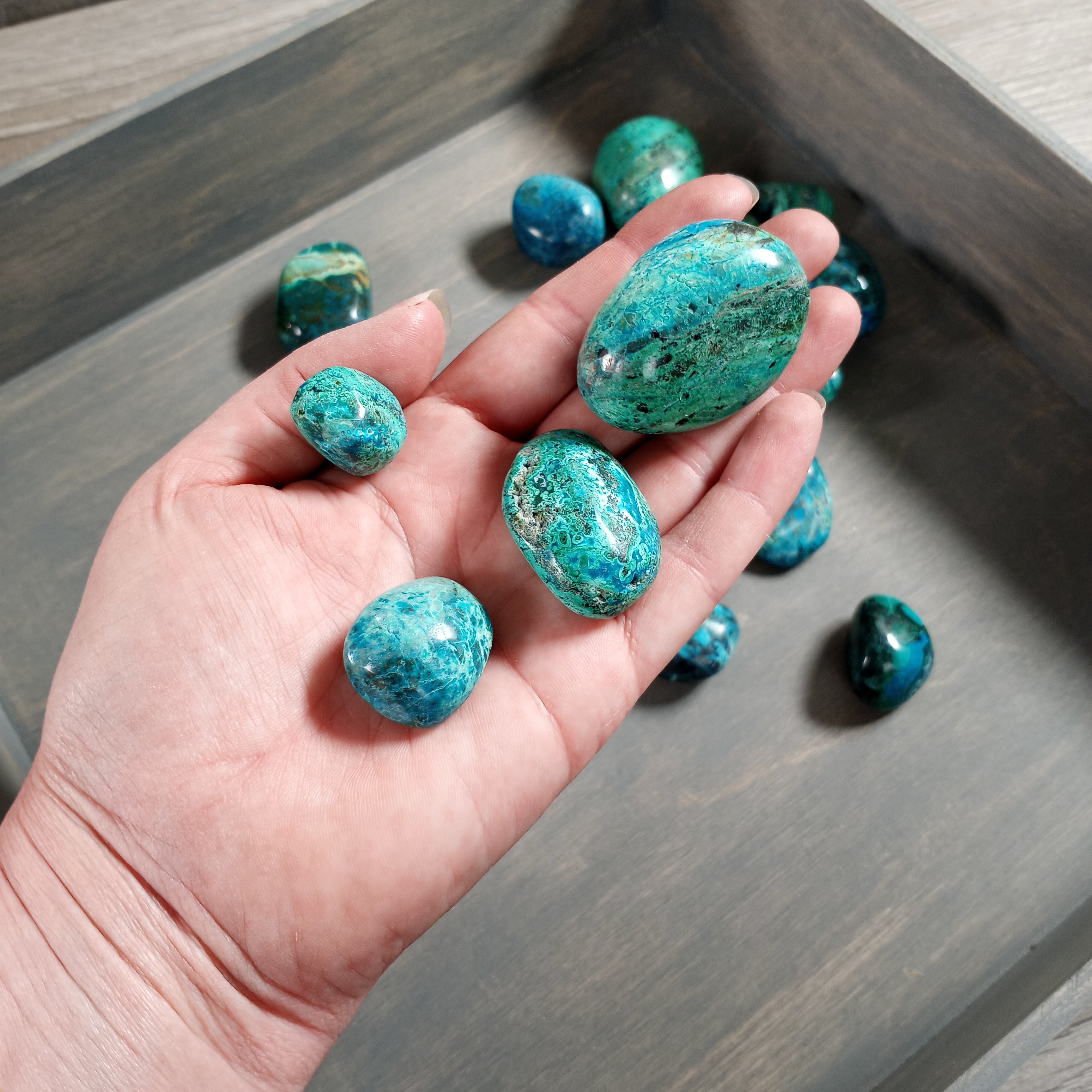 Chrysocolla tumbled stones bulk wholesale 1 pound.