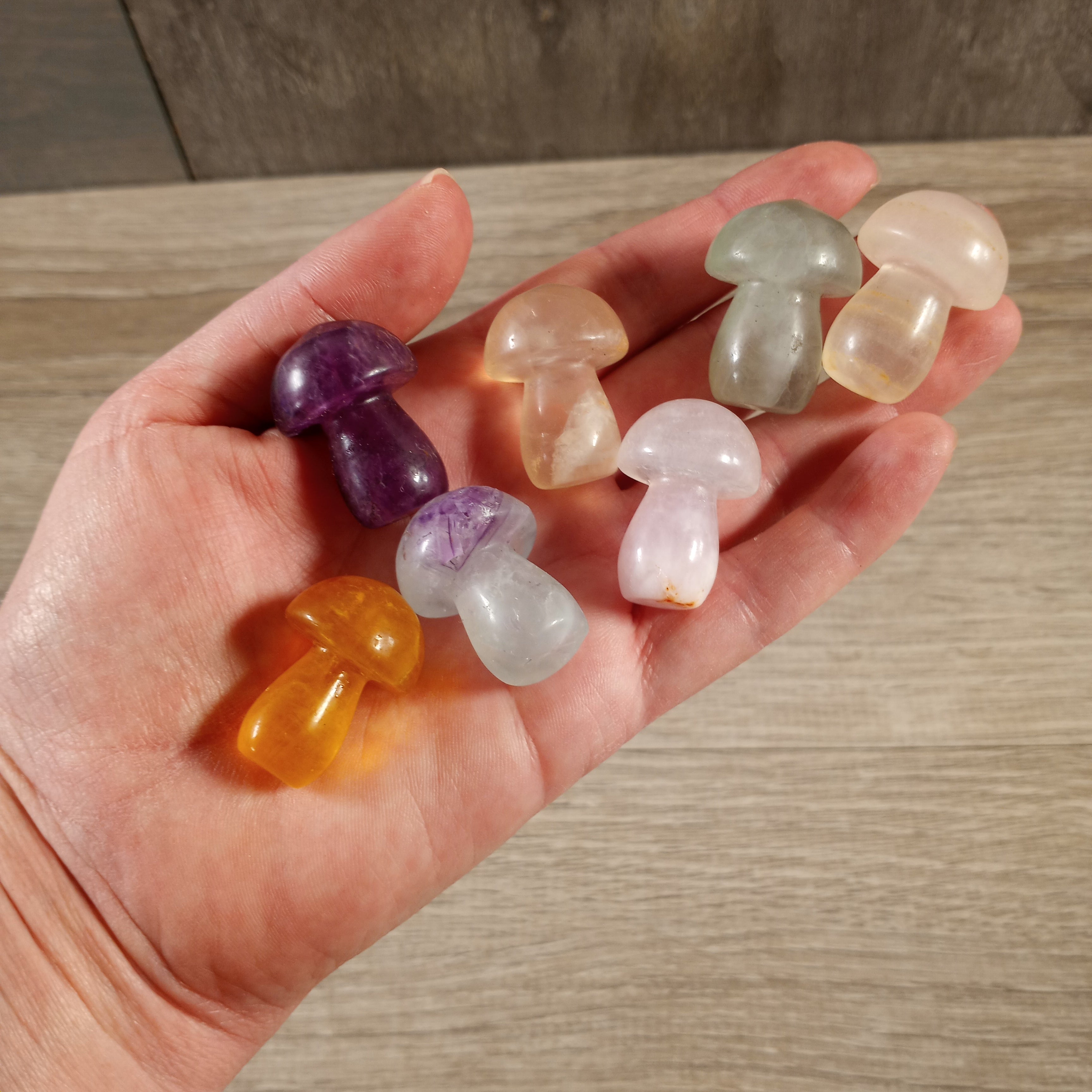 fluorite wholesale crystal mushrooms for gift and rock shops