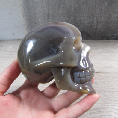Large Gemstone Skull for Crystal Retail and Gift Shops