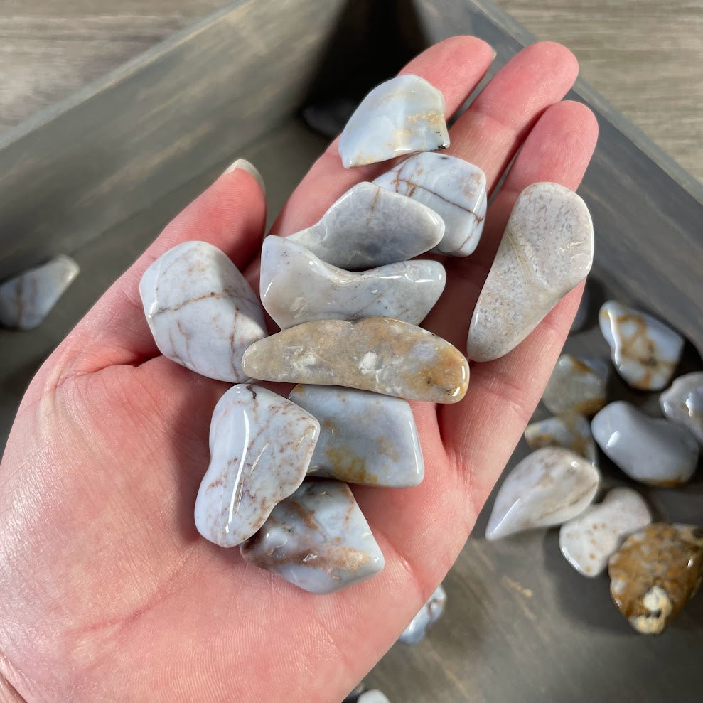 Polished chalcedony tumbles for Reiki, chakra, and metaphysical retail