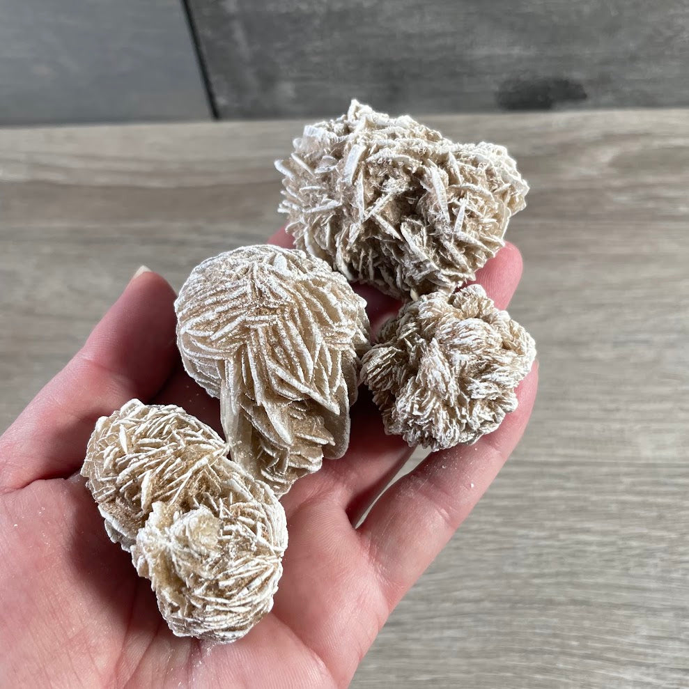 Natural desert rose selenite cluster with gypsum rosette formation