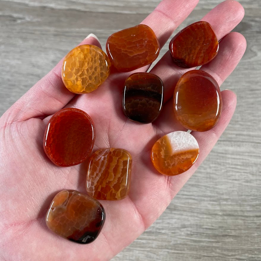 Bulk Gemstone Oval Flat Disks for Crystal Shops, Reiki, Chakra & Metaphysical Retail