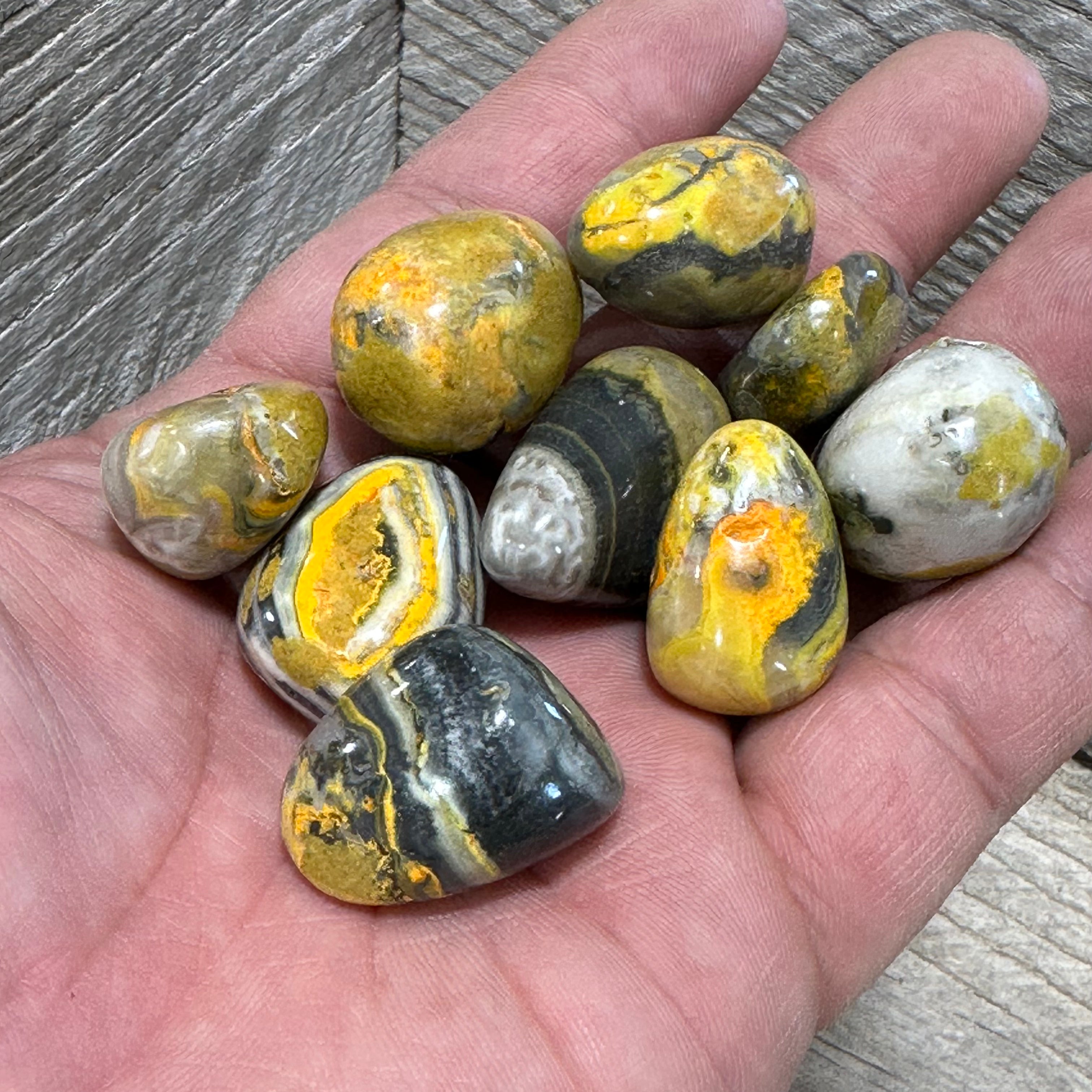 Yellow and black Bumblebee Jasper tumbled stones wholesale