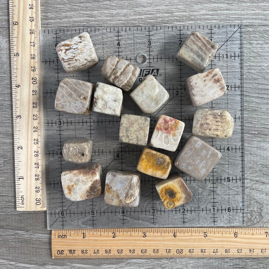 crystal shop wholesale fossil stone