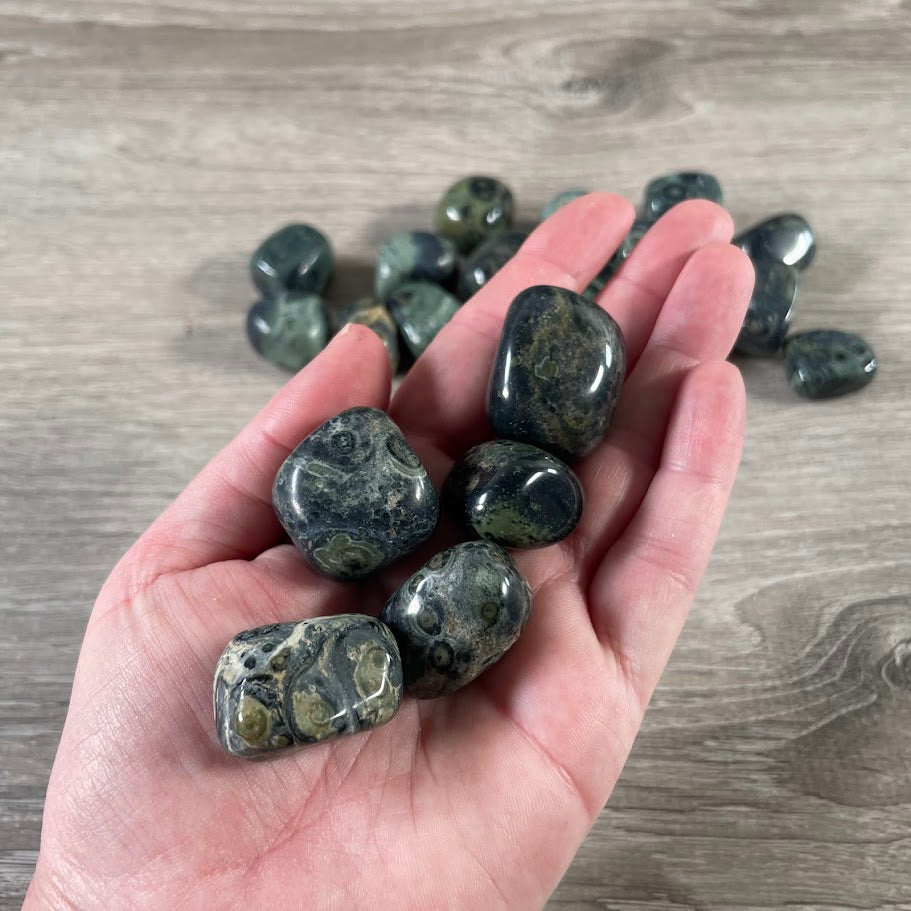 Green and black fossil jasper tumbled crystal stones 1-pound bag