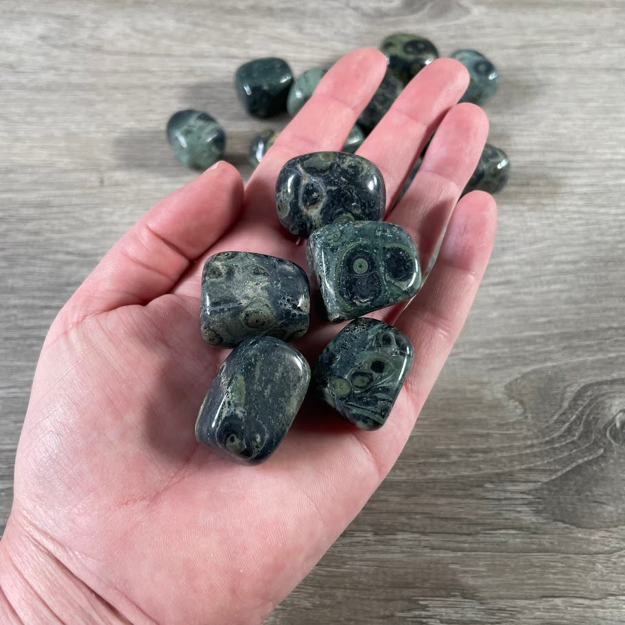Tumbled Kambaba Jasper for crystal retailers and gift stores