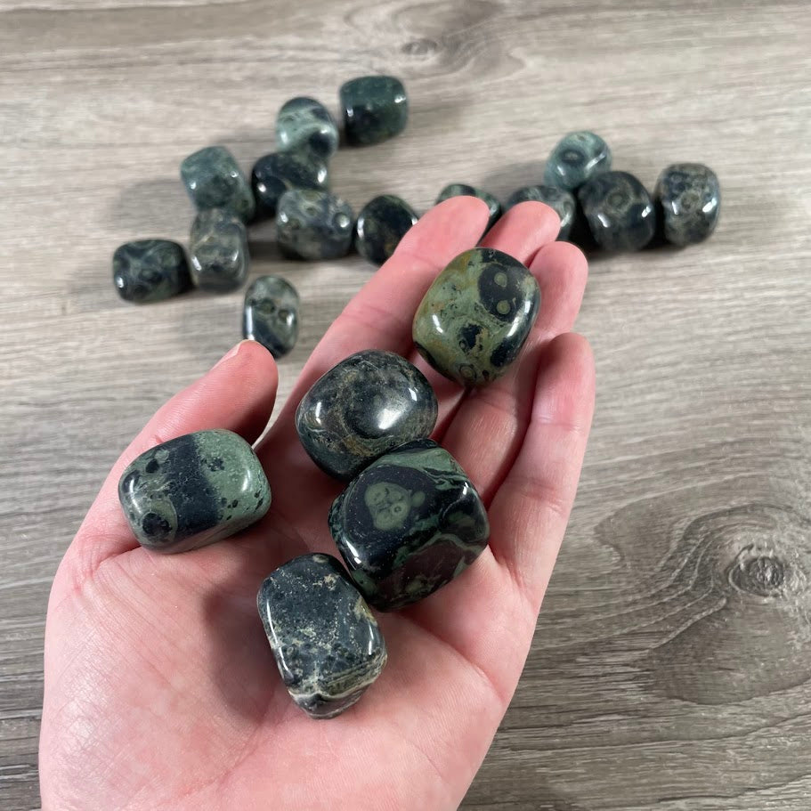 Kambaba Jasper wholesale bulk stone supply metaphysical