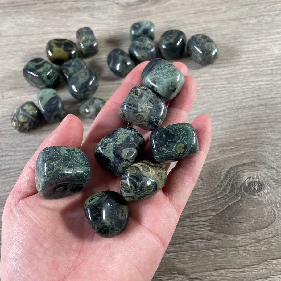 Kambaba Jasper Tumbled Stones – 1 LB Bulk Wholesale