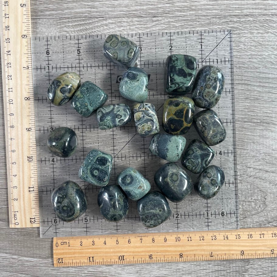 Kambaba Jasper Tumbled Stones – 1 LB Bulk Wholesale