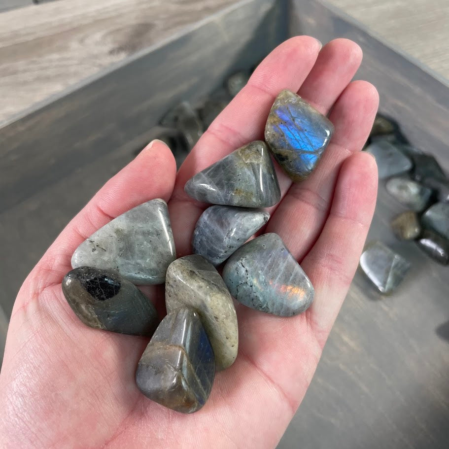 labradorite tumbled crystals 1 pound perfect for metaphysical shops
