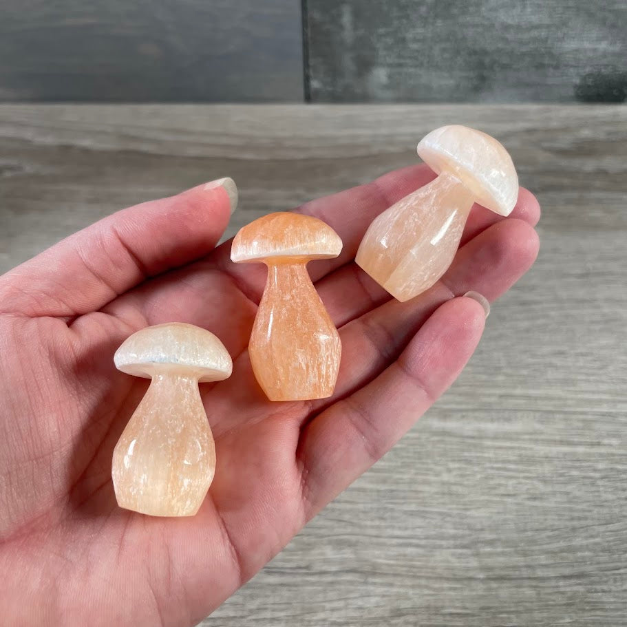 orange selenite wholesale small mushroom
