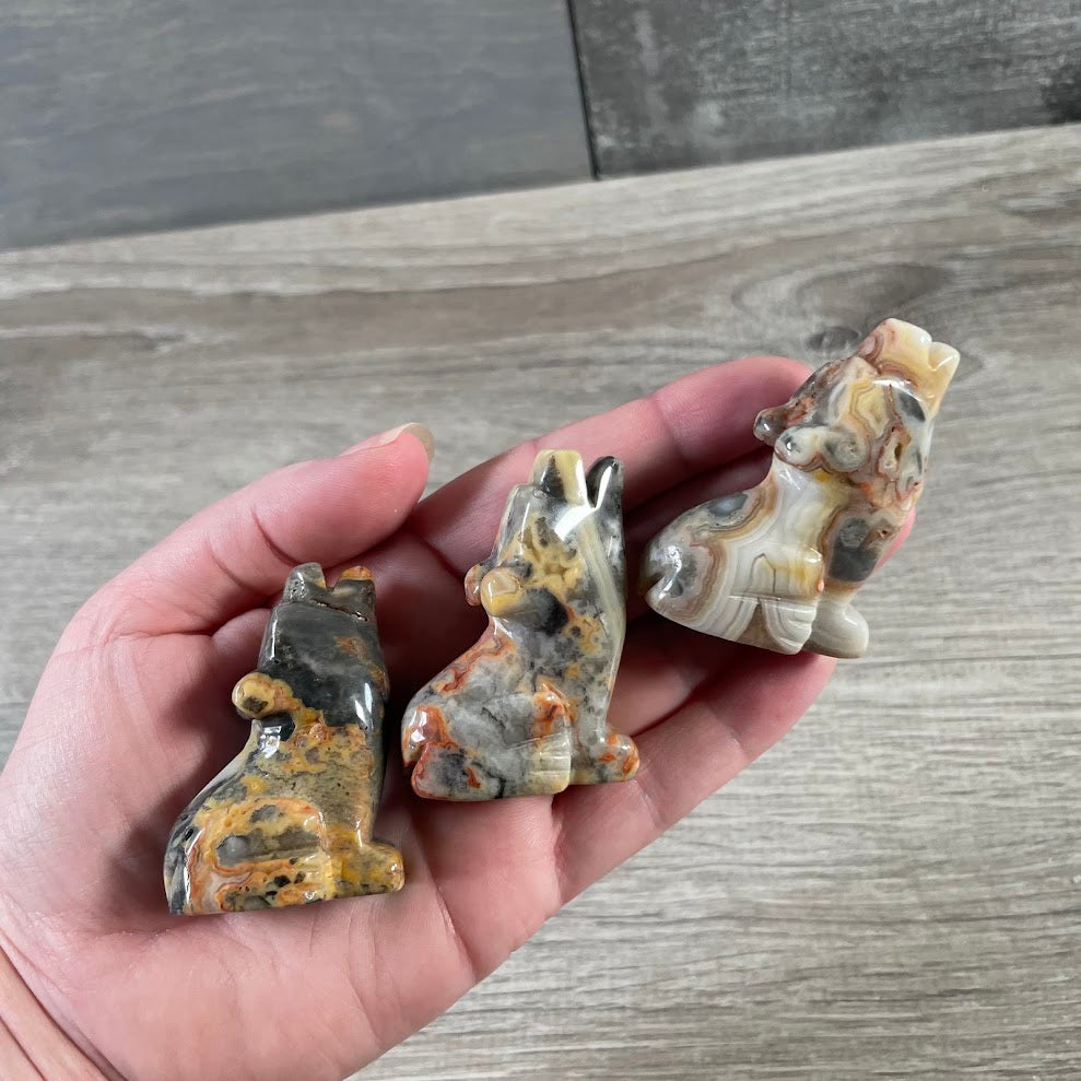 Wholesale gemstone animal figurine featuring a medium coyote shape in assorted stones