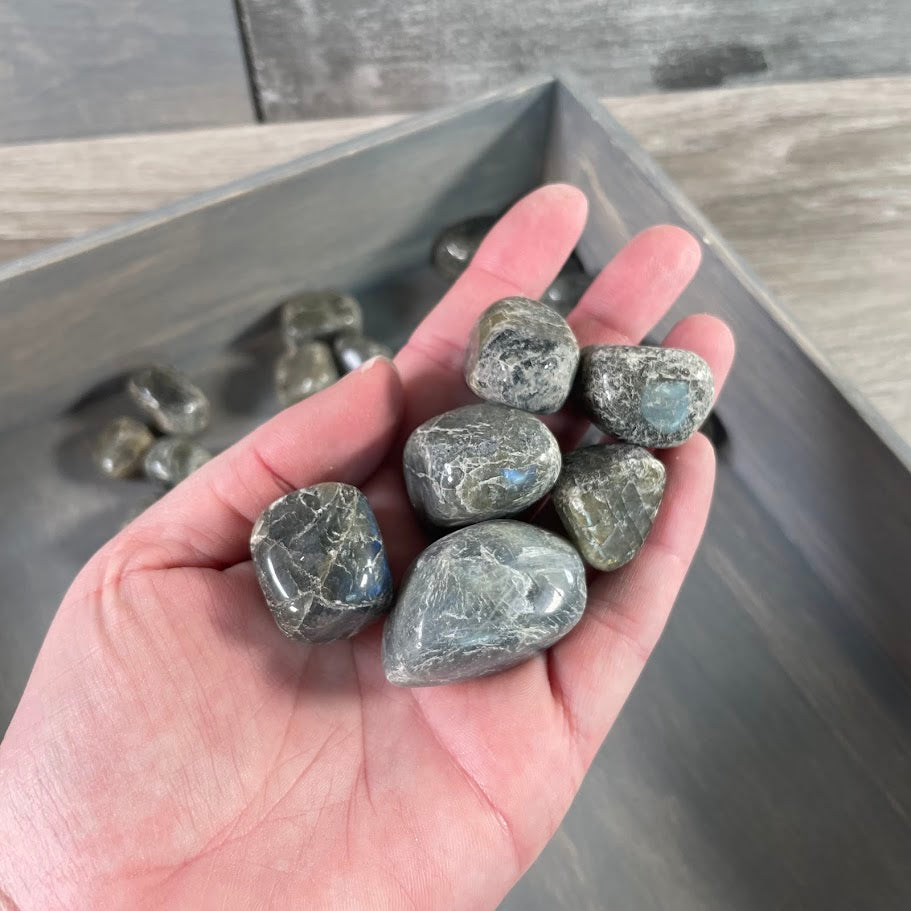 1 pound wholesale labradorite tumbled stones metaphysical supply