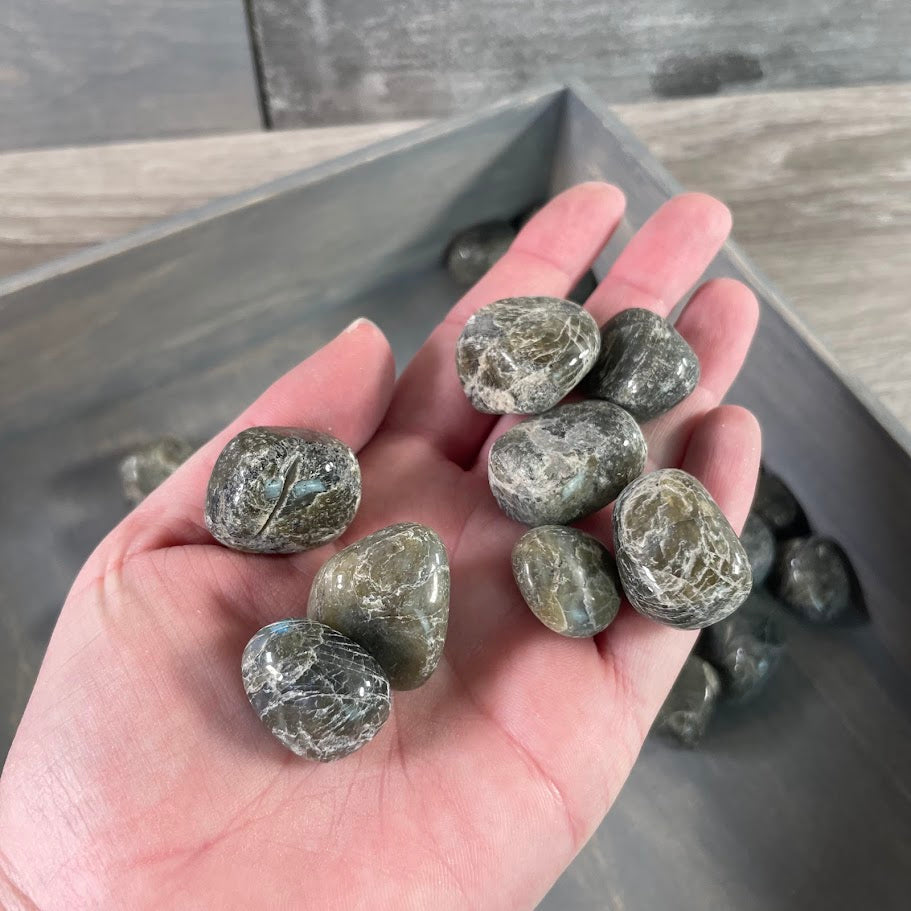 Polished labradorite stones with flashes of color wholesale