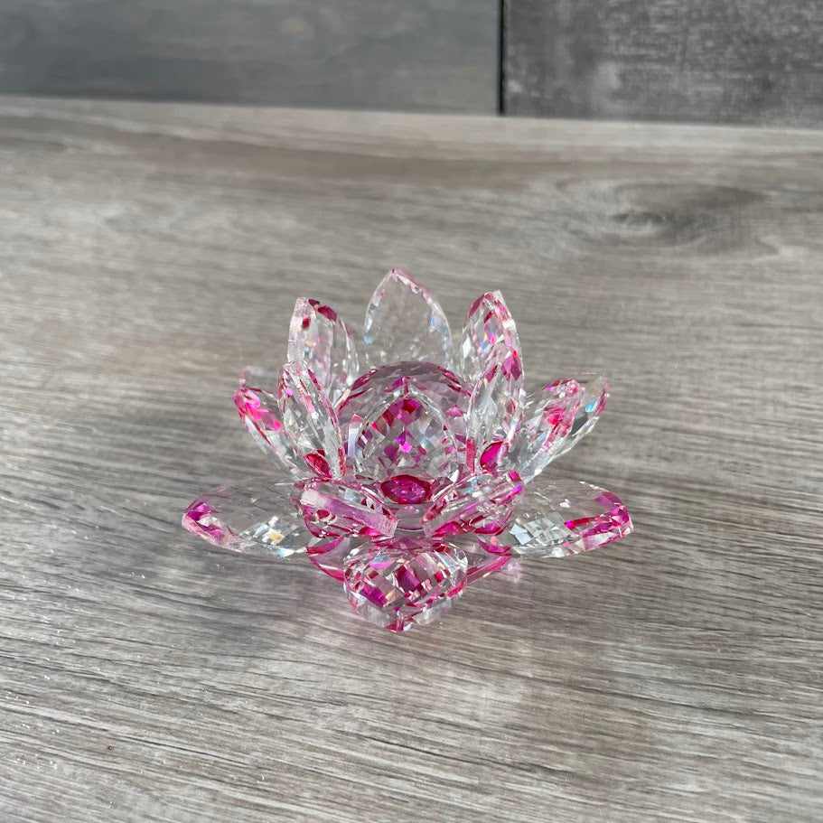 Lotus flower wholesale for metaphysical stores