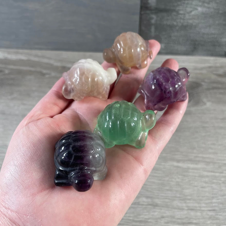 Land turtle figurines in fluorite animal totems for gift shops