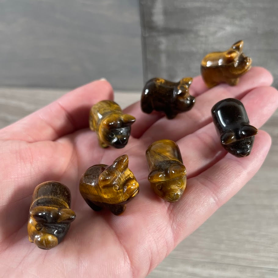 tiger eye carved gemstone pig crystal animal carving for retailers