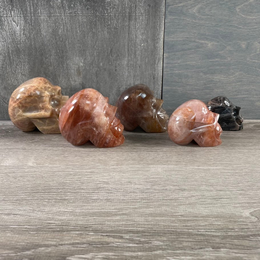 Lot of three hematoid quartz skulls, one black moonstone skull, and one peach moonstone skull; facing sideways.