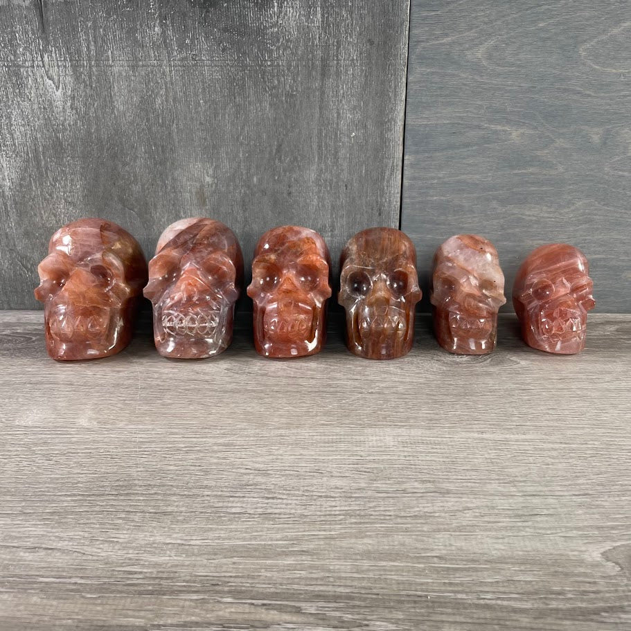 Lot of six hematoid quartz skulls, facing forwards.