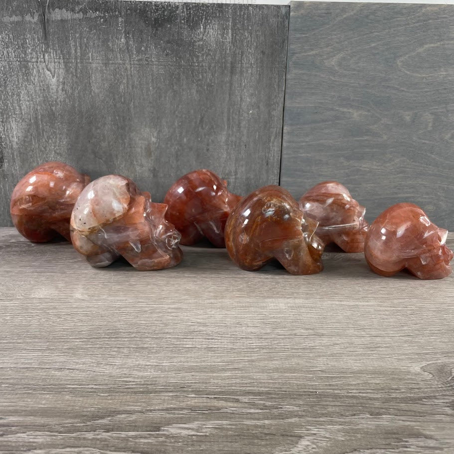 Lot of six hematoid quartz skulls, facing sideways.