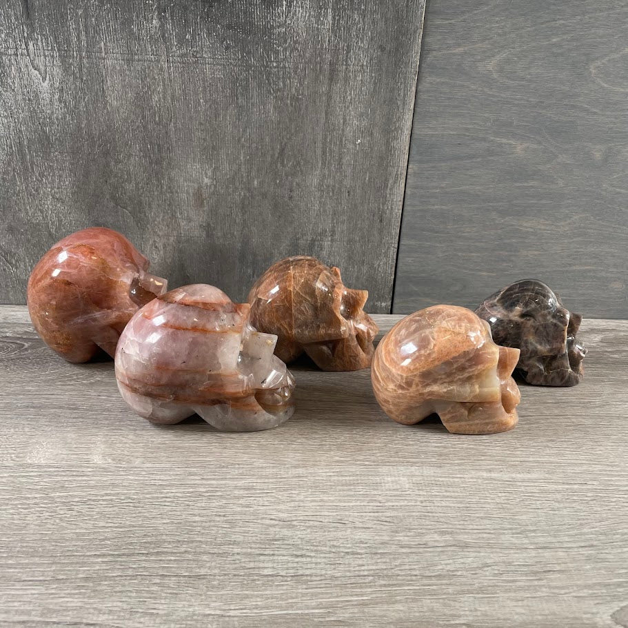 Lot of two hematoid quartz skulls, two peach moonstone skulls, and one black moonstone skull; facing sideways.