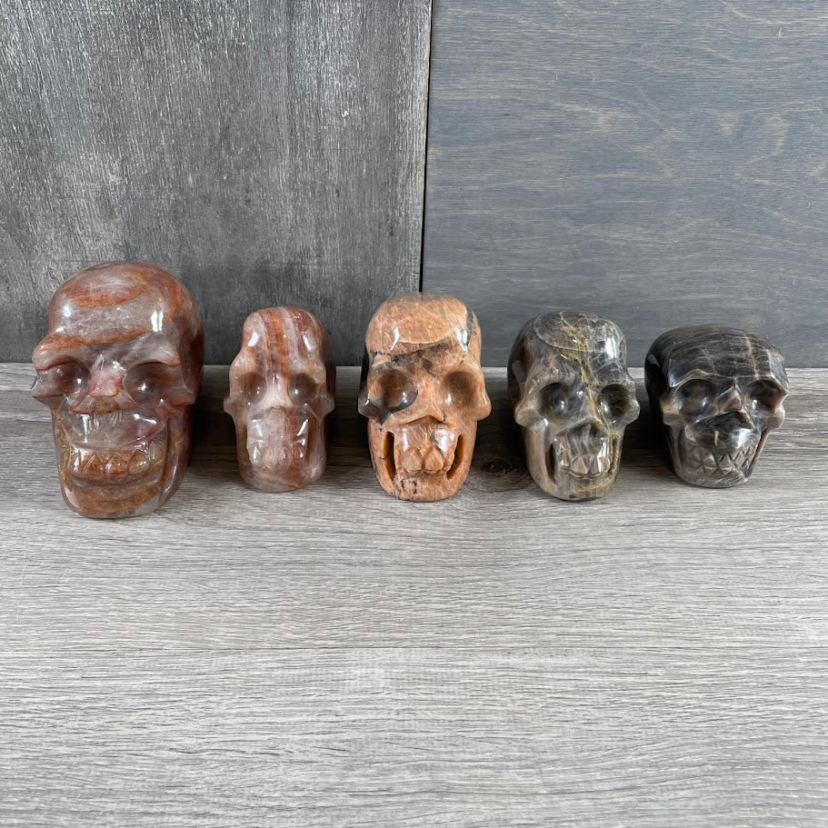 Lot of two hematoid quartz skulls, two black moonstone skulls, and one peach moonstone skull; facing forwards.