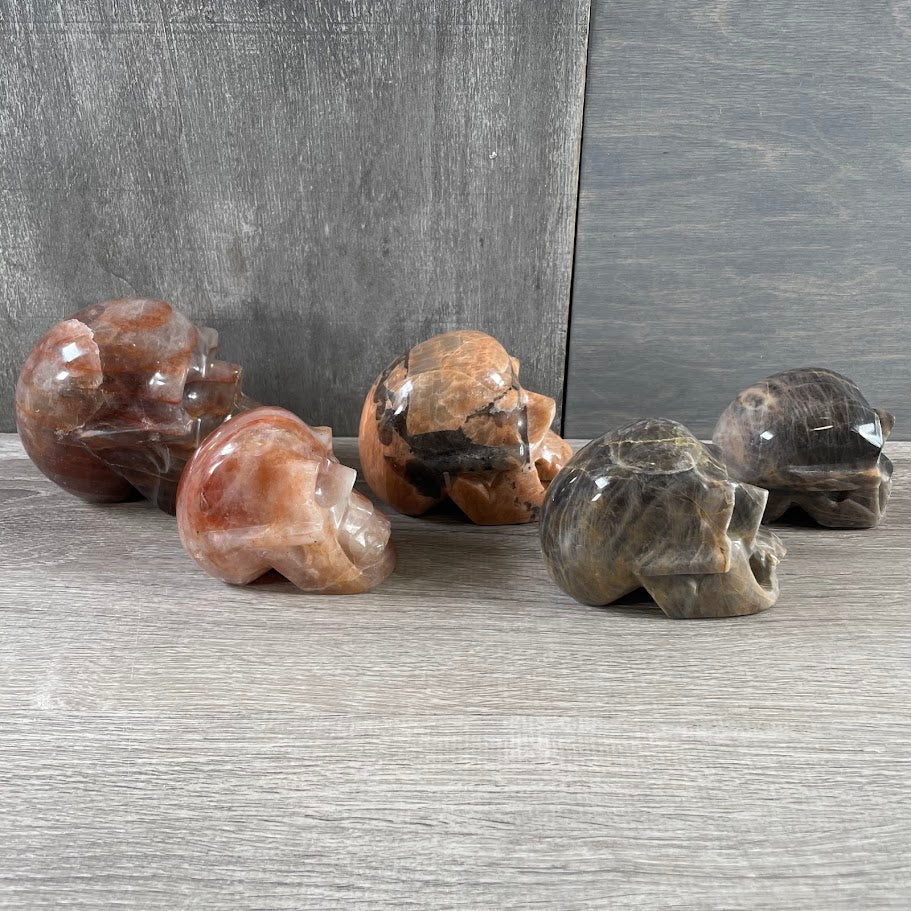 Lot of two hematoid quartz skulls, two black moonstone skulls, and one peach moonstone skull; facing sideways.