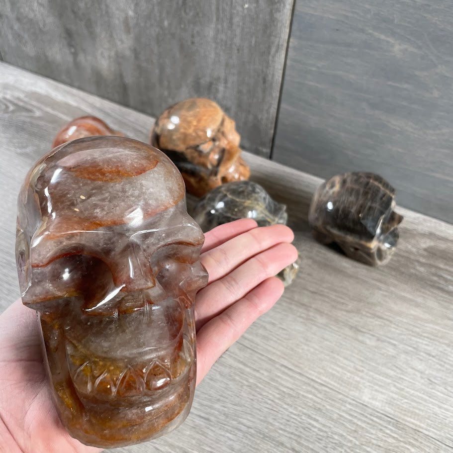 Close up of hematoid quartz skull with other skulls in the background.