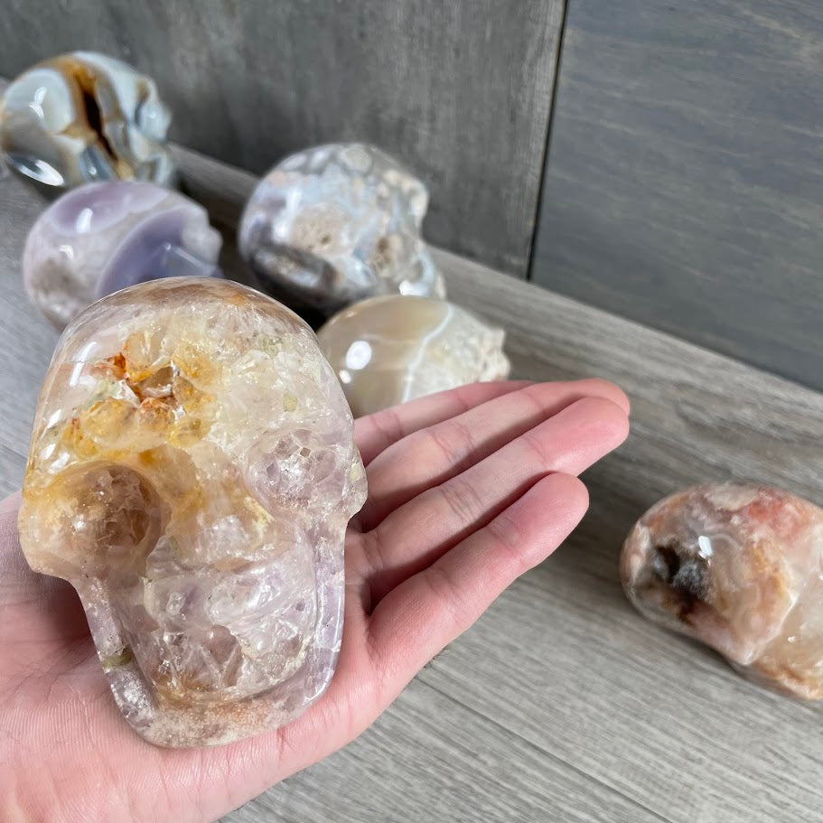 Close up of quartz skull with other skulls in the background.