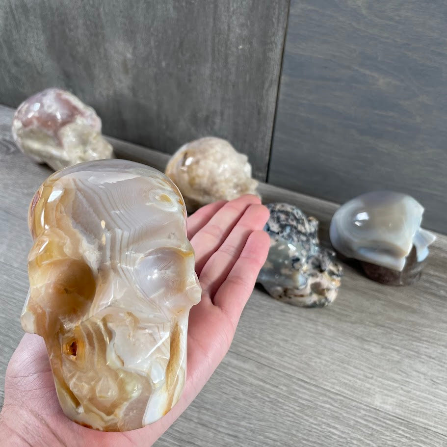 Close up of quartz skull with other skulls in the background.