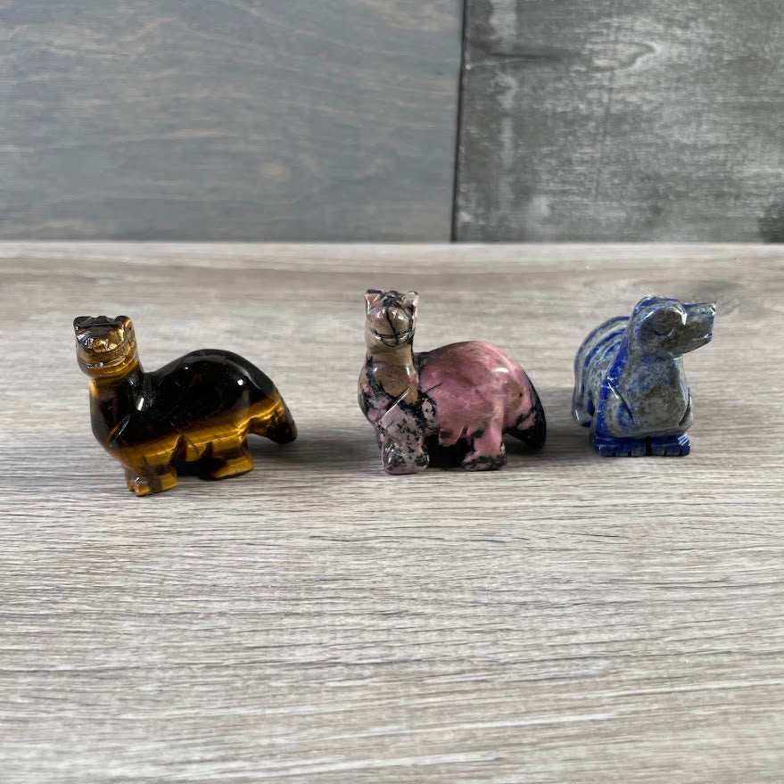 Medium crystal brachiosaurus decor for shelves, desks, and displays