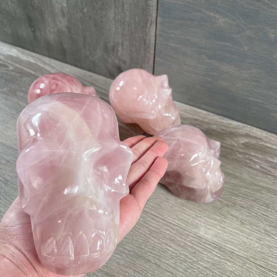 Close up of rose quartz skull with other rose quartz skulls in the background.
