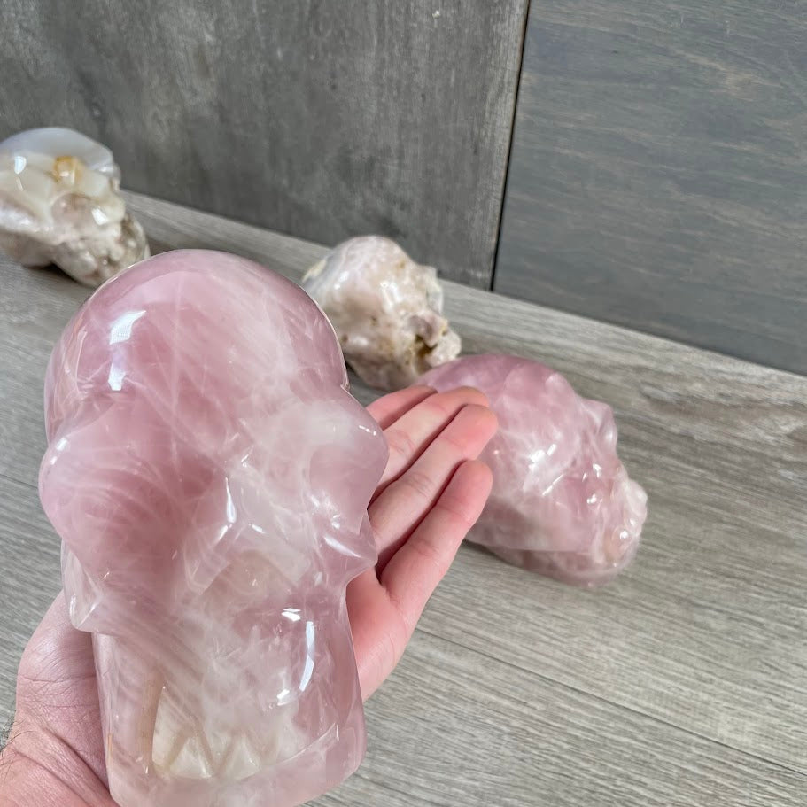 Close up of rose quartz skull with other skulls in the background.