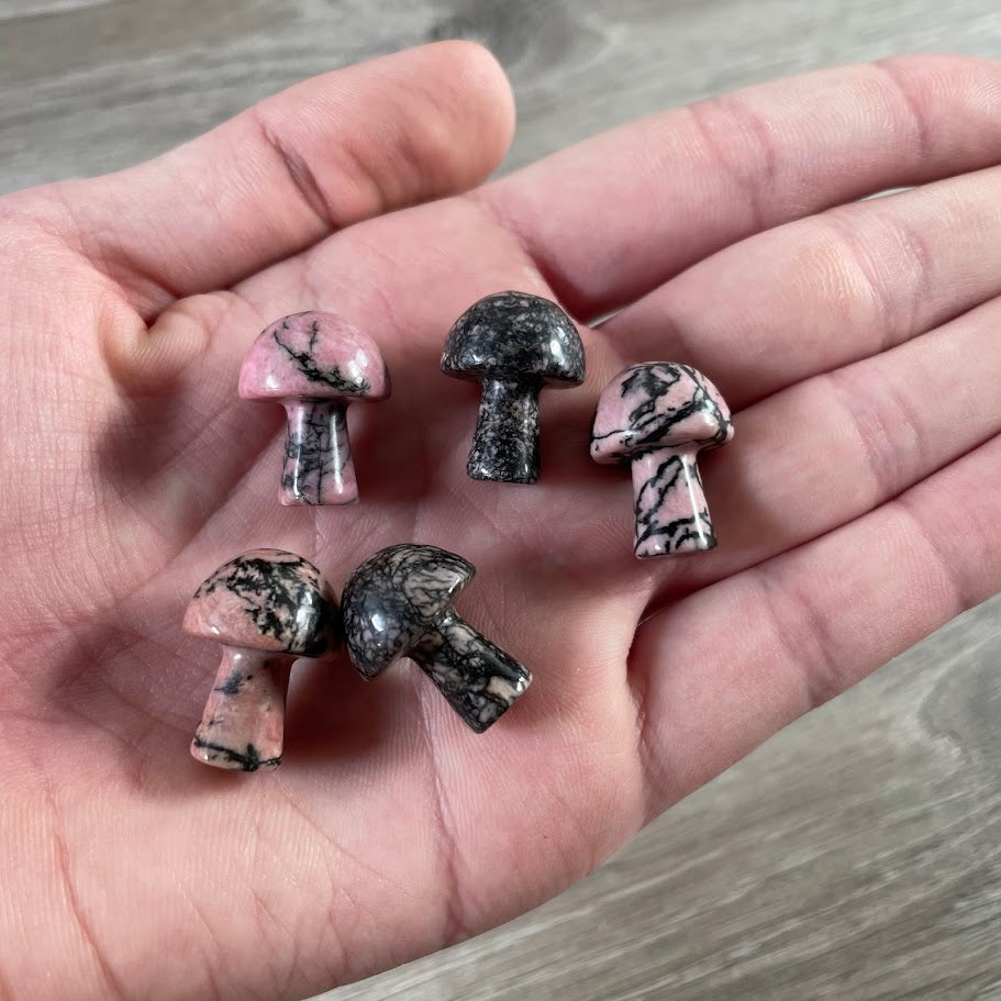 Small Gemstone Mushrooms for Crystal and Gift Shops