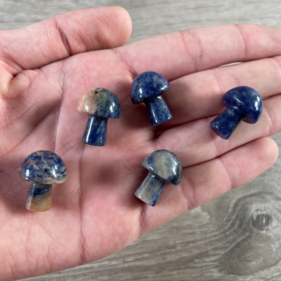 Small Gemstone Mushrooms for Crystal and Gift Shops
