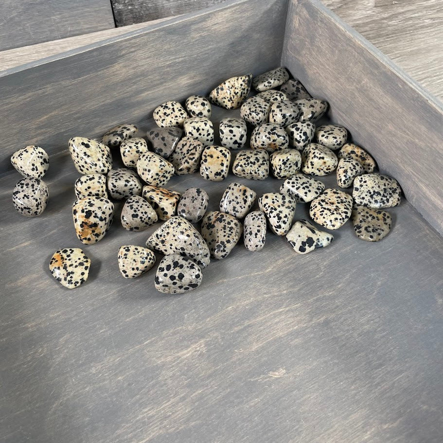 Dalmatian Jasper crystals bulk for metaphysical stores