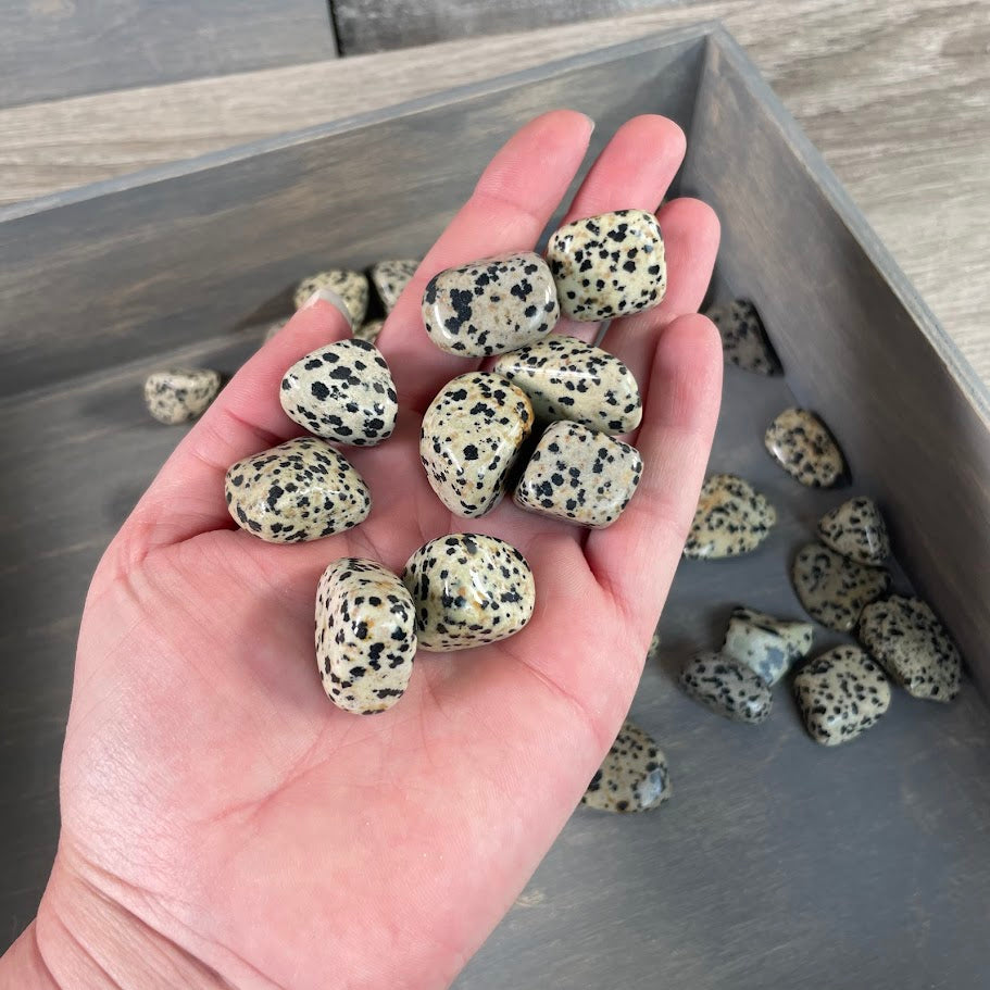 Wholesale Dalmatian Jasper tumbled stones bulk resale